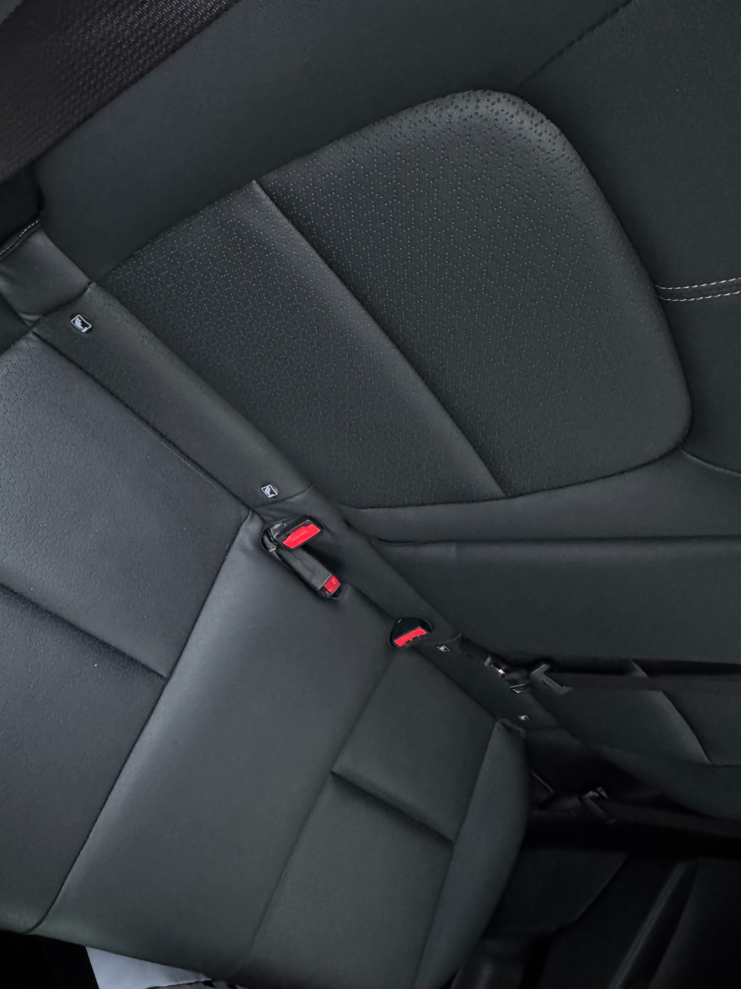 Used Kia Picanto 2024 for sale - 77323921: Photo 10