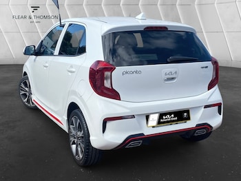 Used Kia Picanto 2023 for sale - 78950697: Photo
