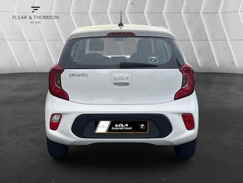 Used Kia Picanto 2023 for sale - 76736618: Photo