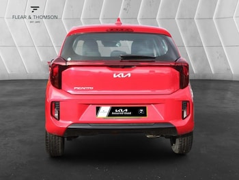 Used Kia Picanto 2024 for sale - 79098318: Photo