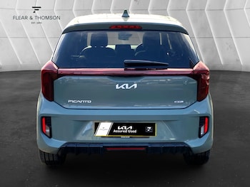 Used Kia Picanto 2025 for sale - 77848204: Photo