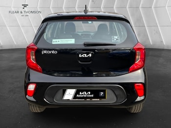 Used Kia Picanto 2023 for sale - 77759490: Photo