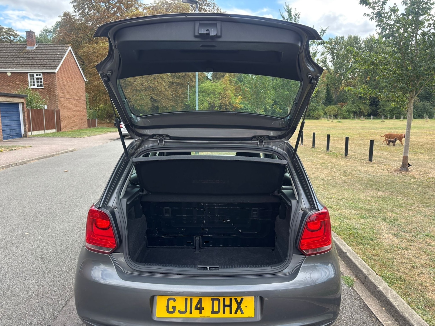 Vehicle 31