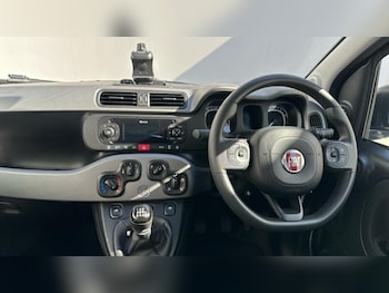 Used Fiat Panda 2019 for sale - 78376880: Photo