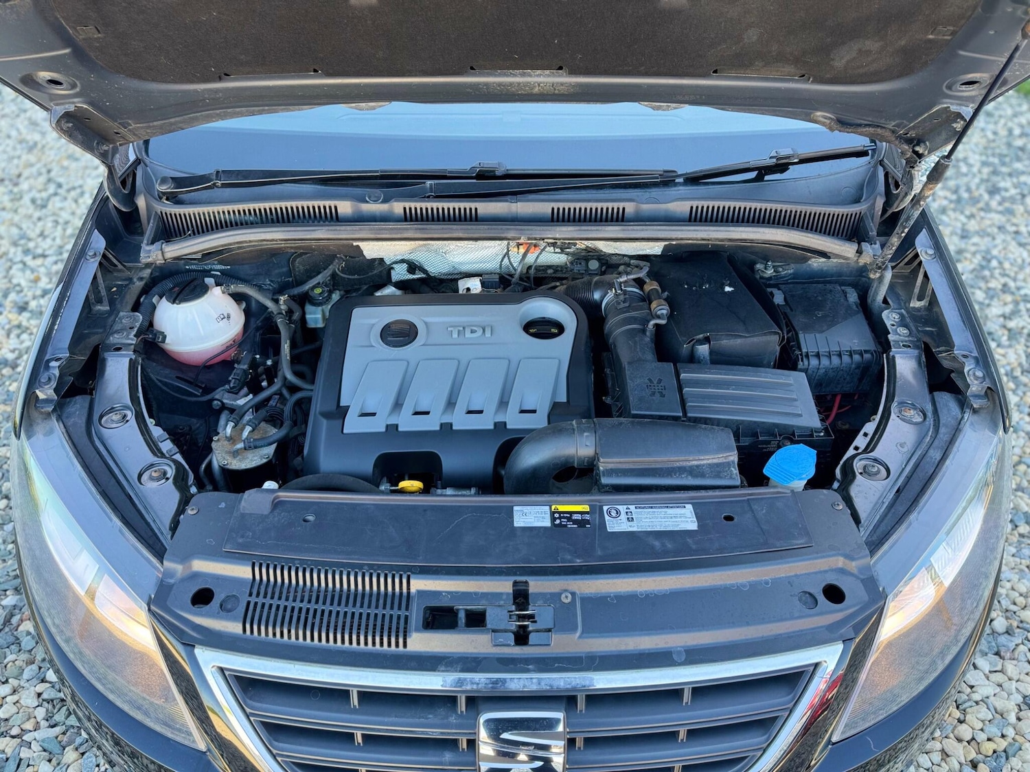 Used SEAT Alhambra 2014 for sale - 78033937: Photo 26