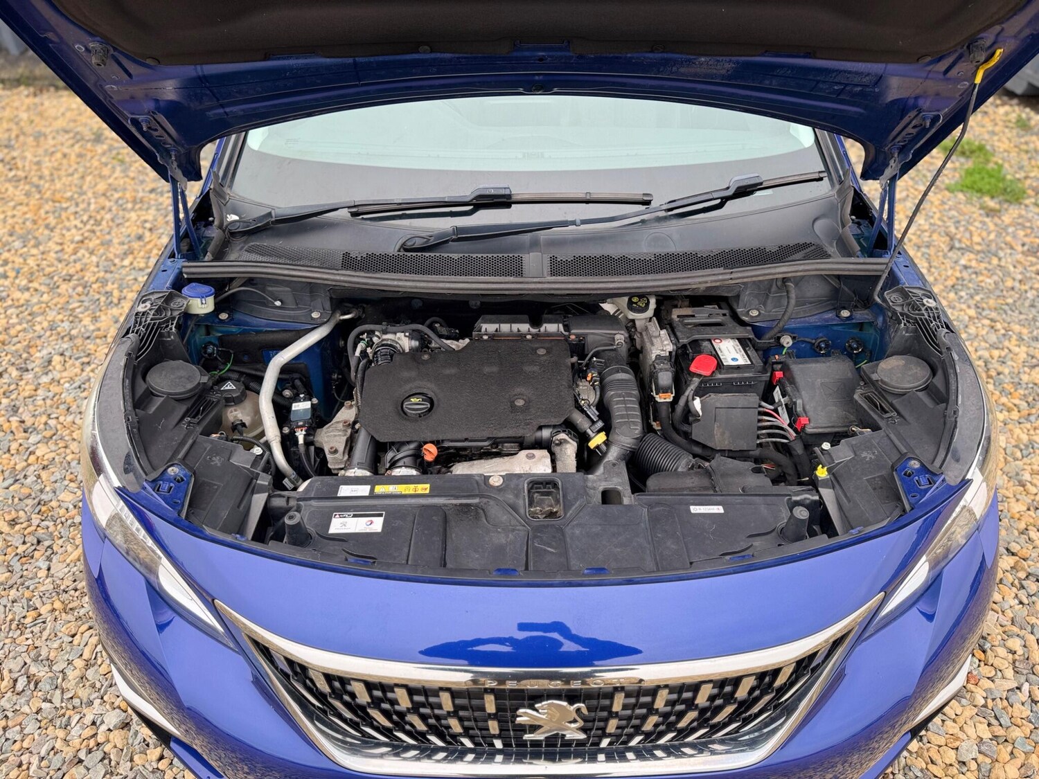 Used Peugeot 3008 2019 for sale - 76867004: Photo 35