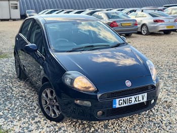 Used Fiat Punto 2016 for sale - 79688010: Photo