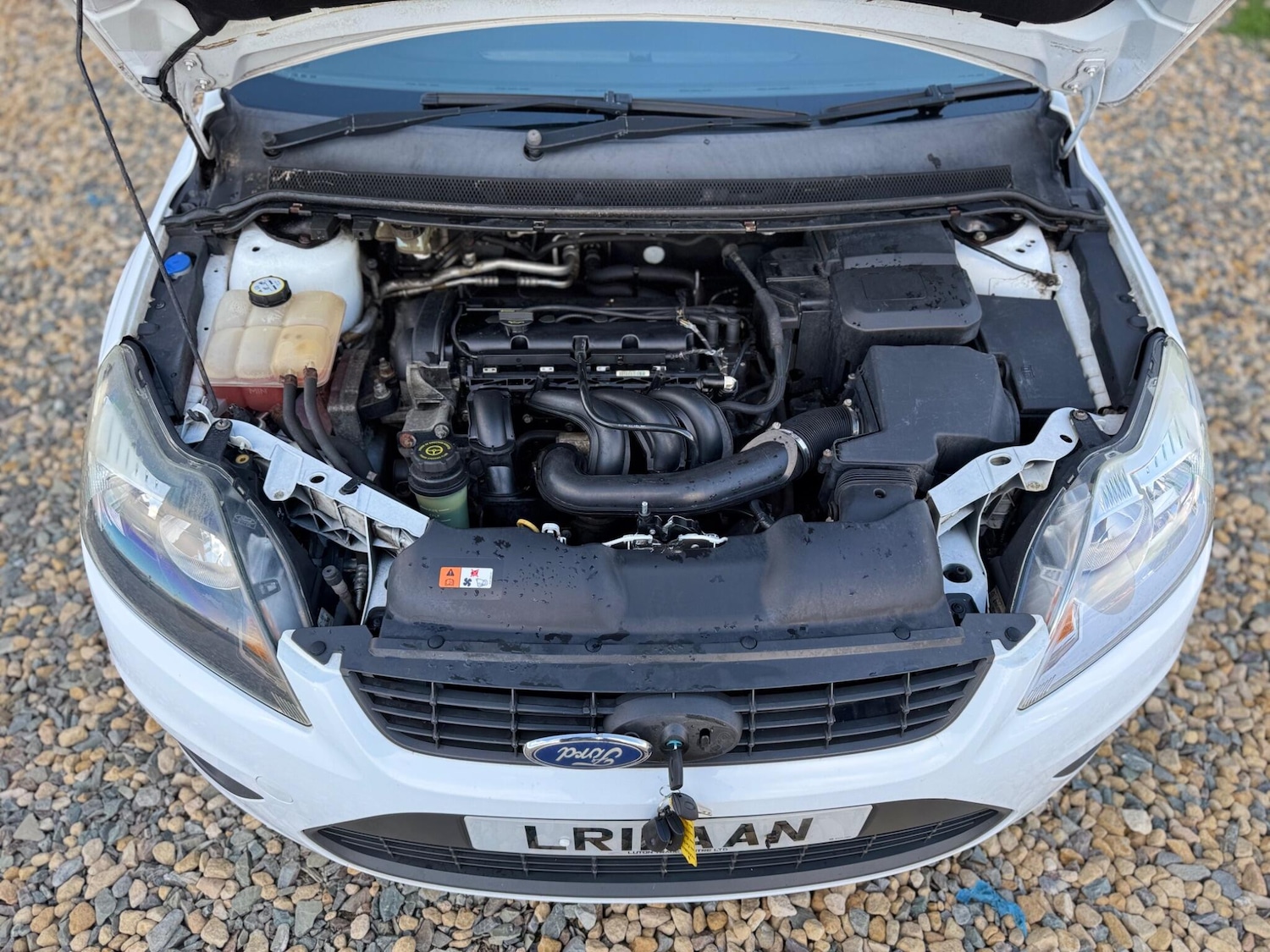 Used Ford Focus for sale - 76608495: Photo 32