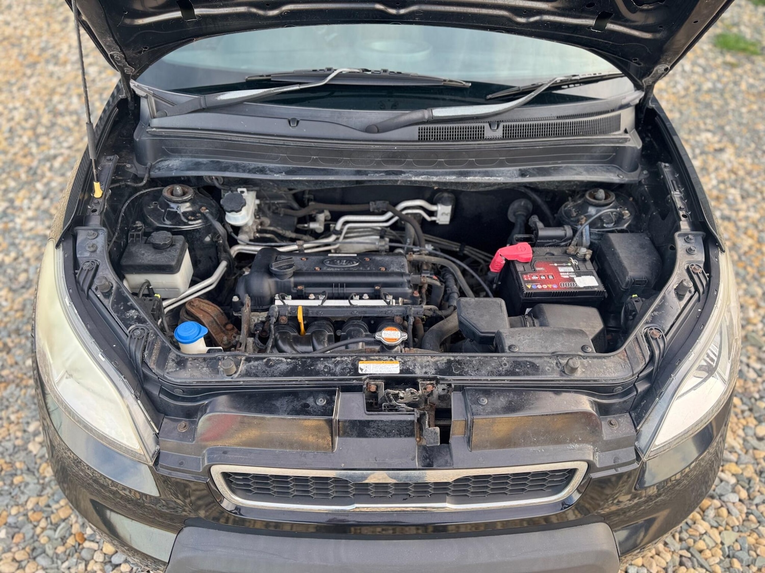 Used Kia Soul for sale - 77670599: Photo 23