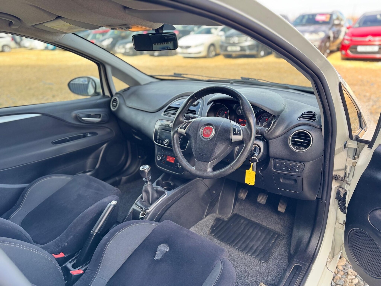 Used Fiat Punto for sale - 77769463: Photo 11