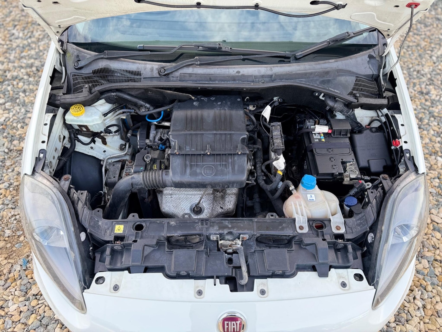 Used Fiat Punto for sale - 77769463: Photo 21