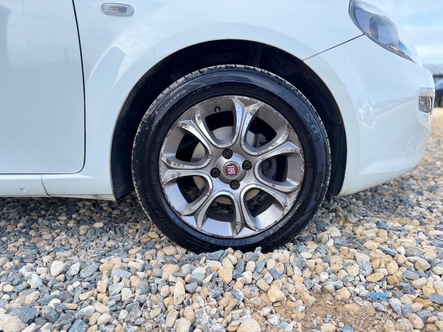 Used Fiat Punto for sale - 77769463: Photo 25