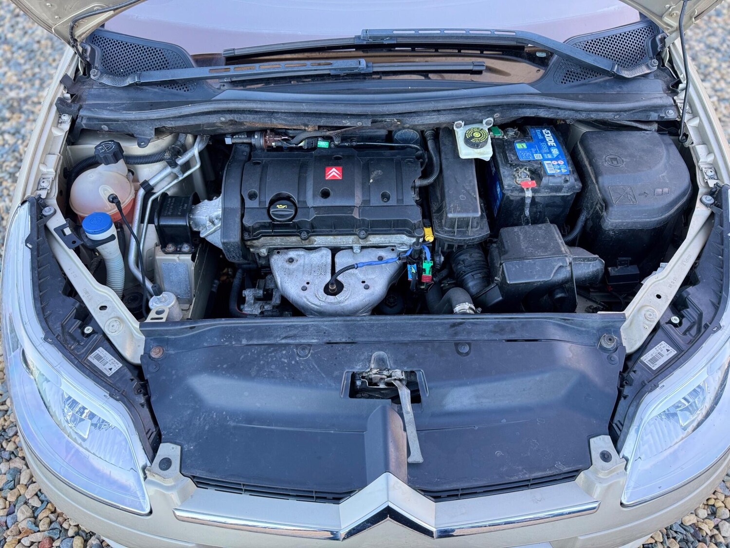 Used Citroen C4 2008 for sale - 77314938: Photo 24