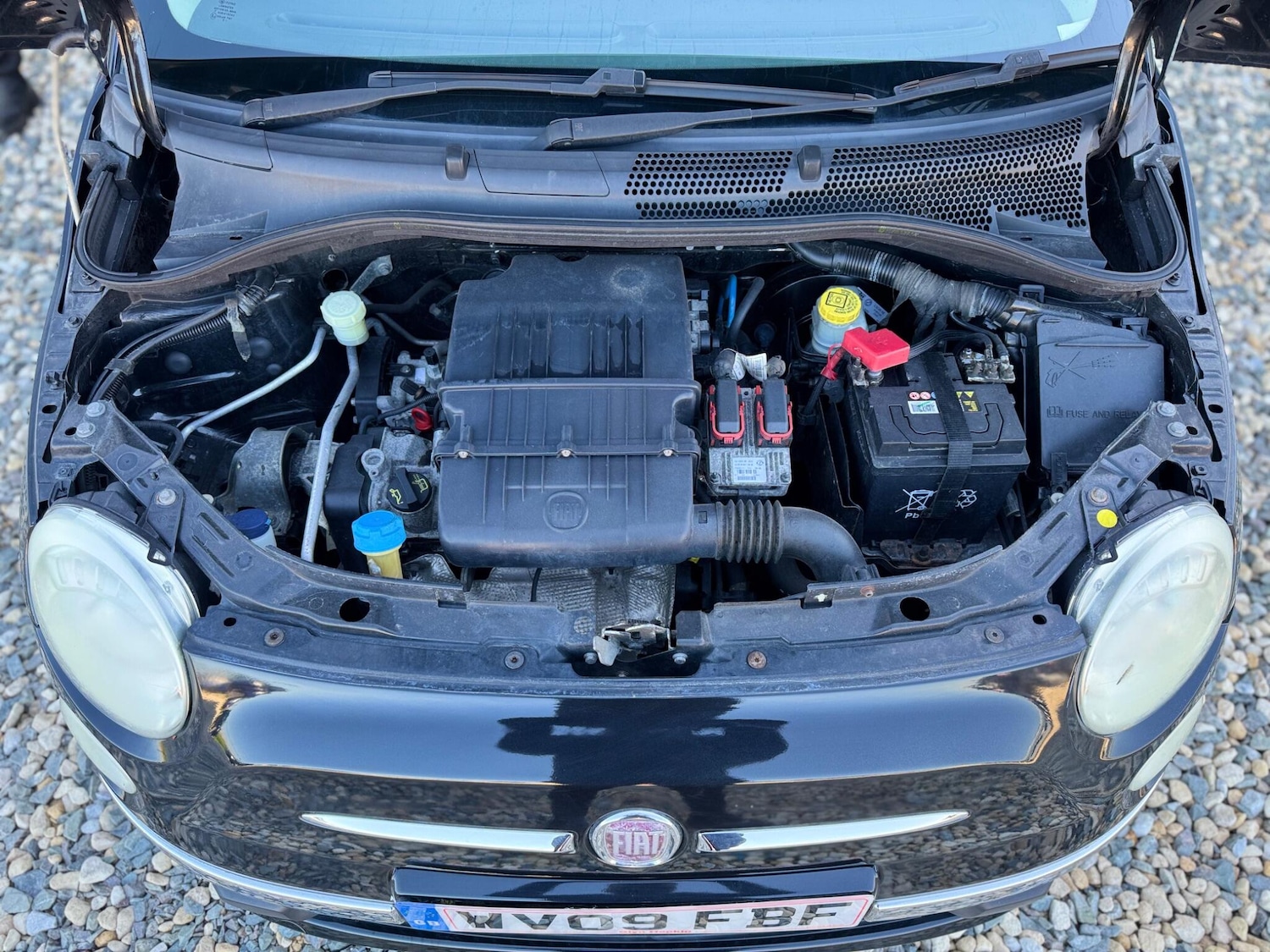 Used Fiat 500 2009 for sale - 77957920: Photo 27