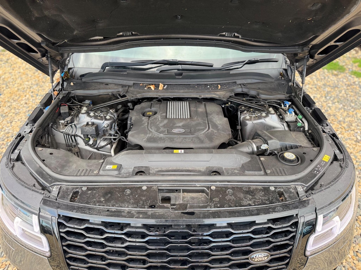 Used Land Rover Range Rover 2016 for sale - 76608407: Photo 36