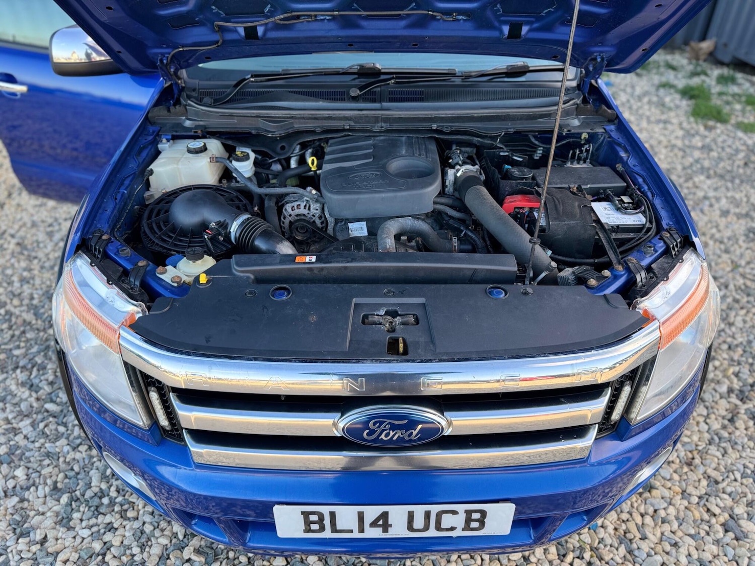 Used Ford Ranger 2014 for sale - 76608489: Photo 36