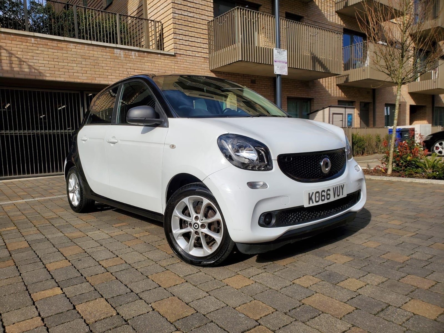 Used smart forfour 2017 for sale - 76167102: Photo 1