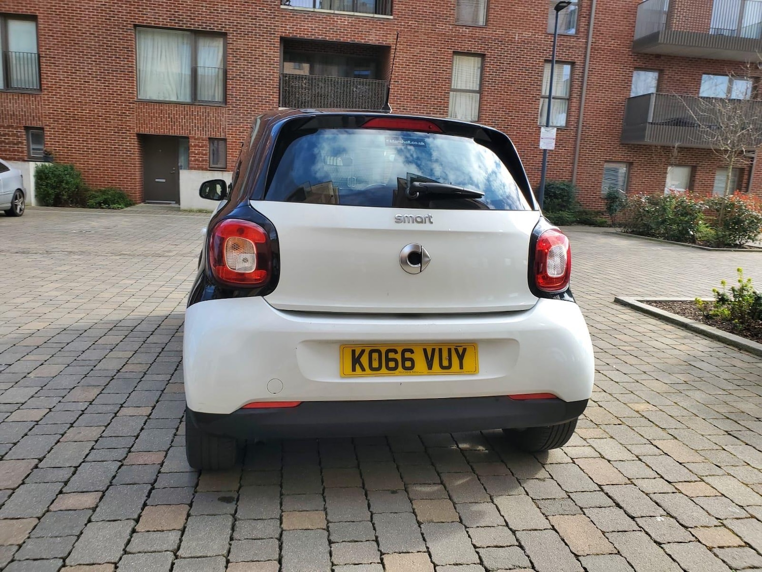 Used smart forfour 2017 for sale - 76167102: Photo 10