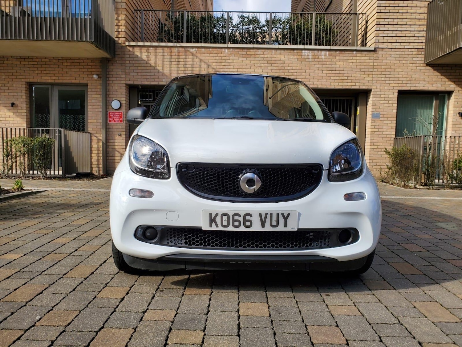 Used smart forfour 2017 for sale - 76167102: Photo 11