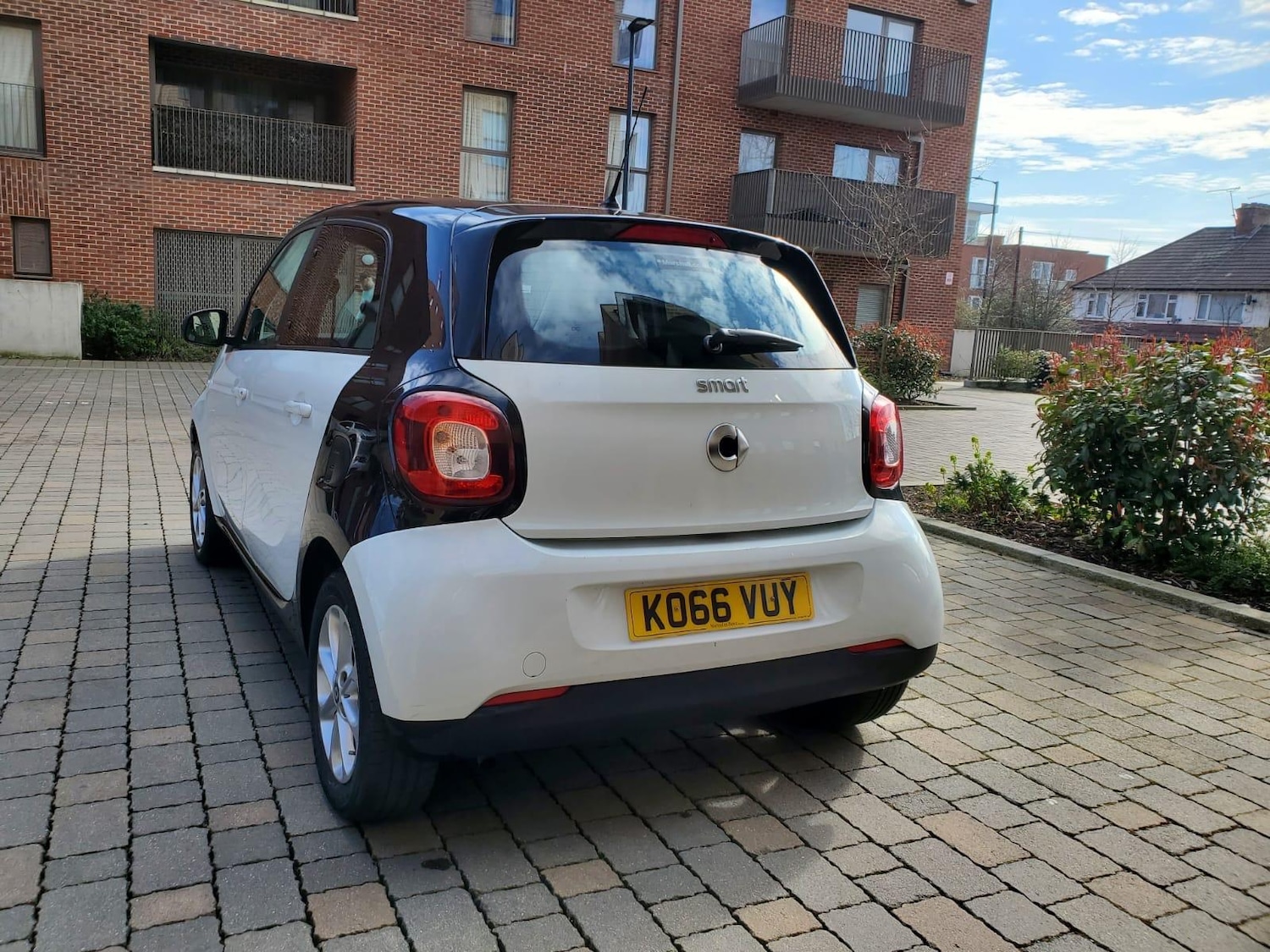 Used smart forfour 2017 for sale - 76167102: Photo 15
