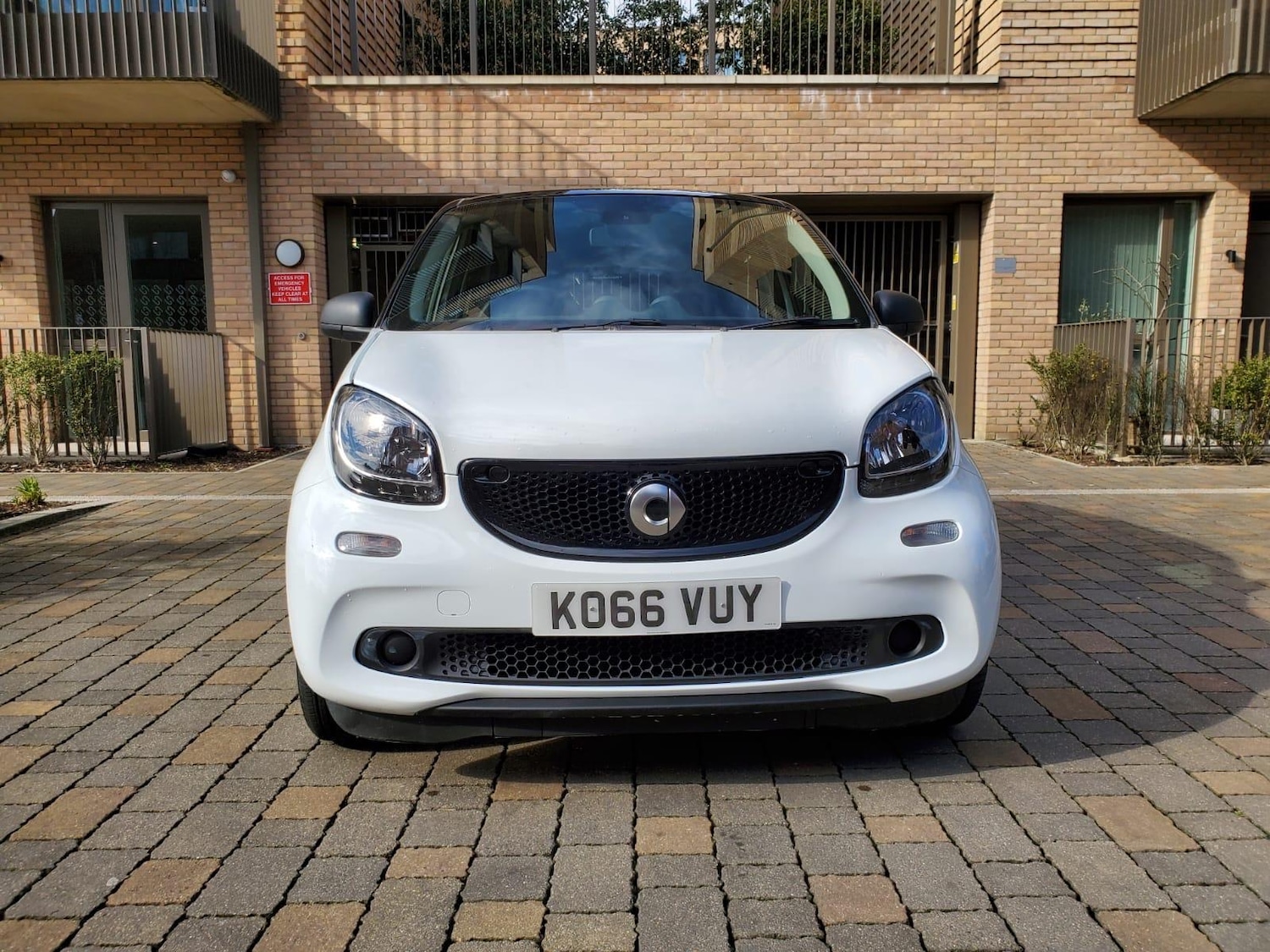Used smart forfour 2017 for sale - 76167102: Photo 5