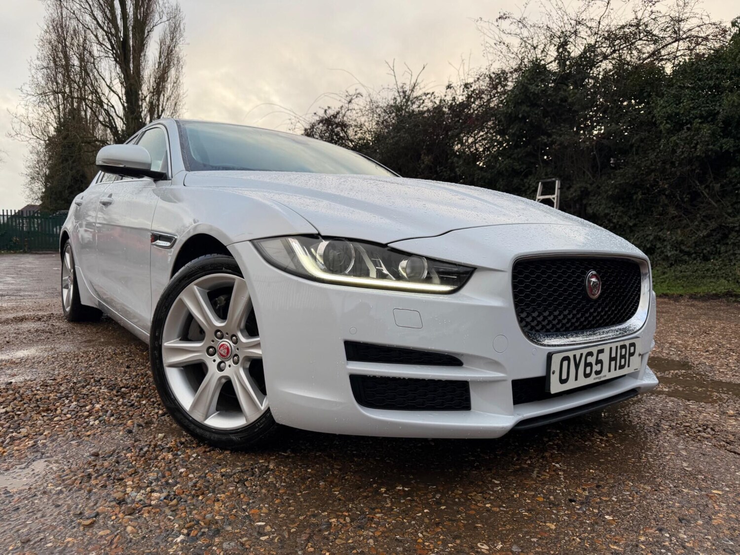 Used Jaguar XE for sale - 77484387: Photo 10