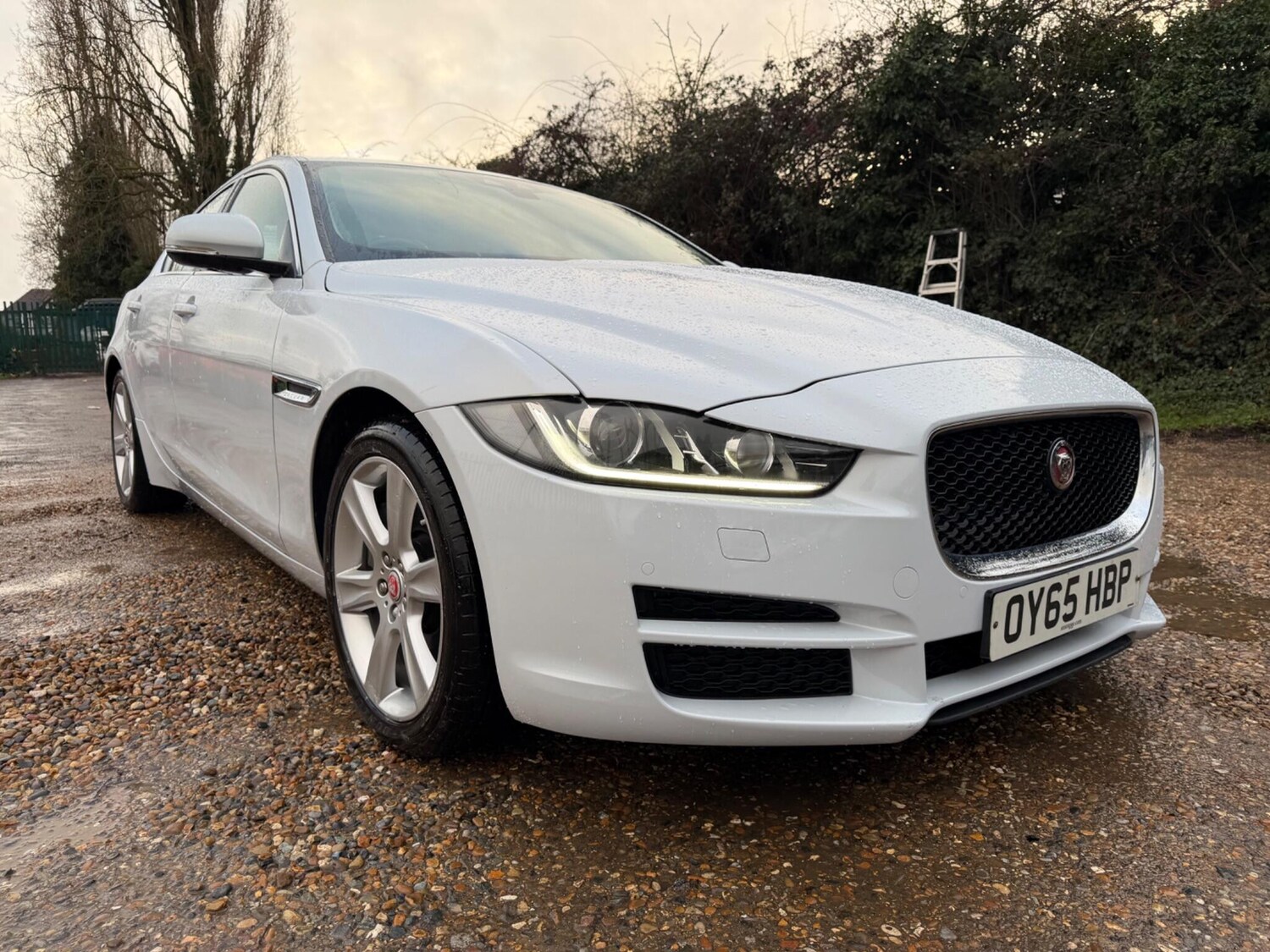 Used Jaguar XE for sale - 77484387: Photo 13