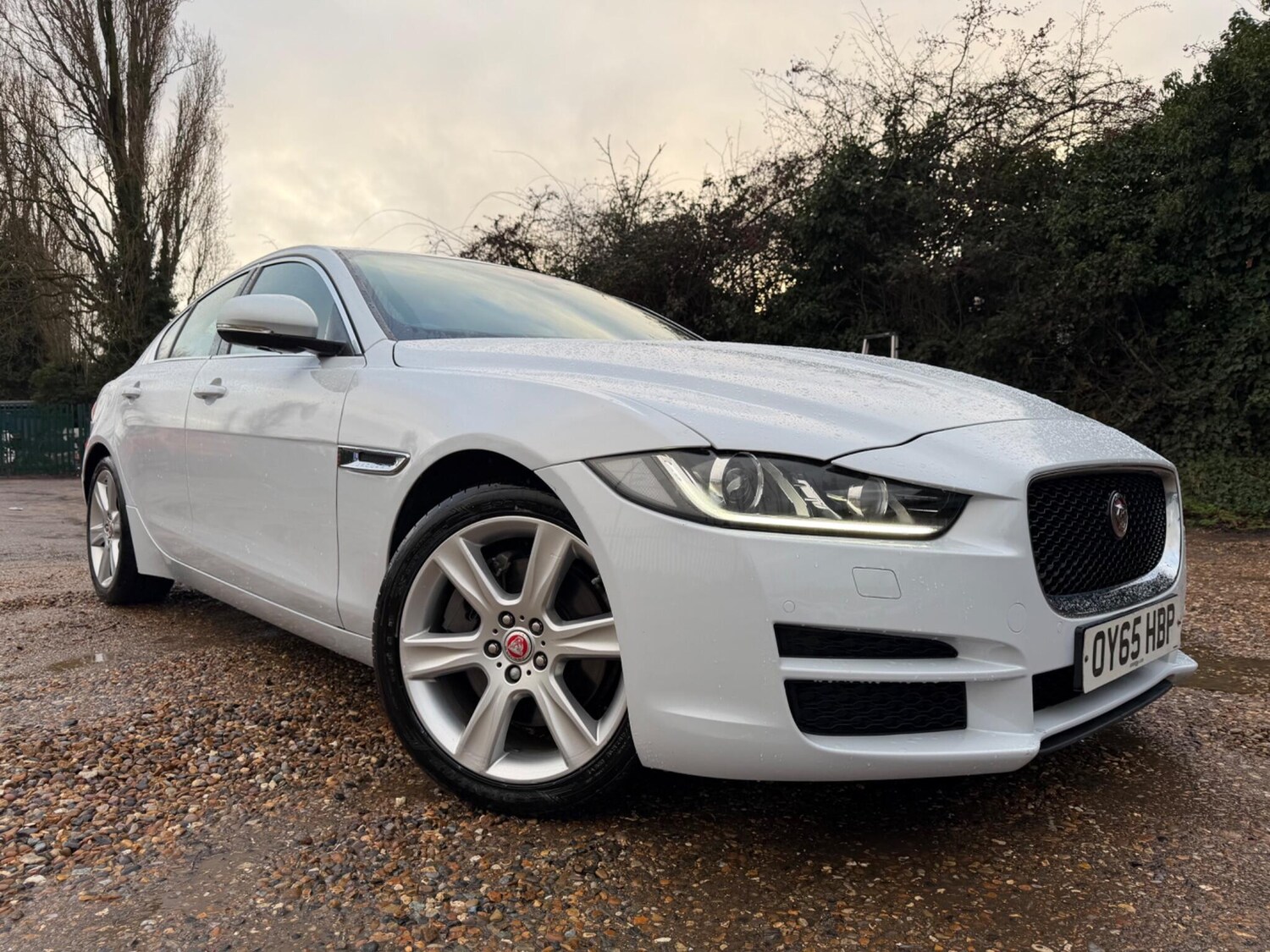 Used Jaguar XE for sale - 77484387: Photo 8