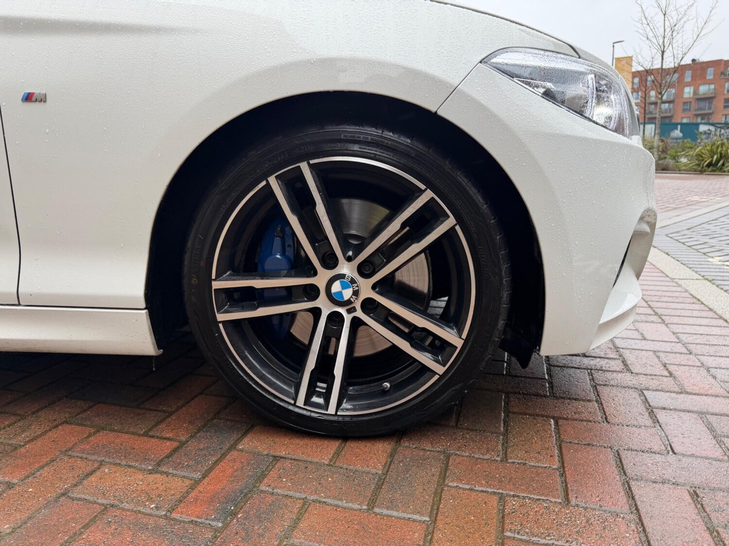 Used BMW 2 Series for sale - 77510013: Photo 46