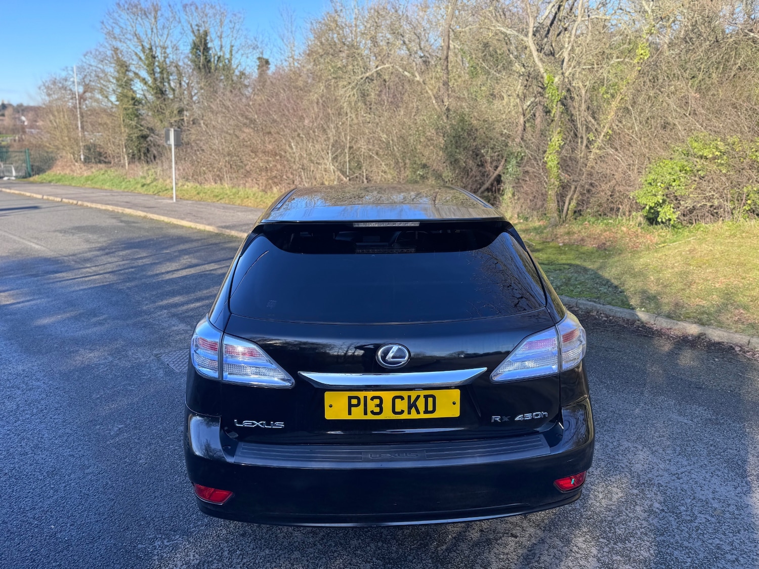 Used Lexus RX 2010 for sale - 77538690: Photo 14