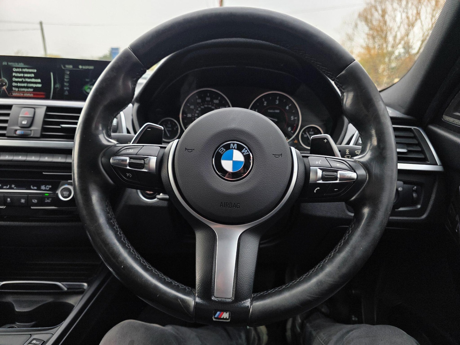 Used BMW 3 Series for sale - 77993213: Photo 39