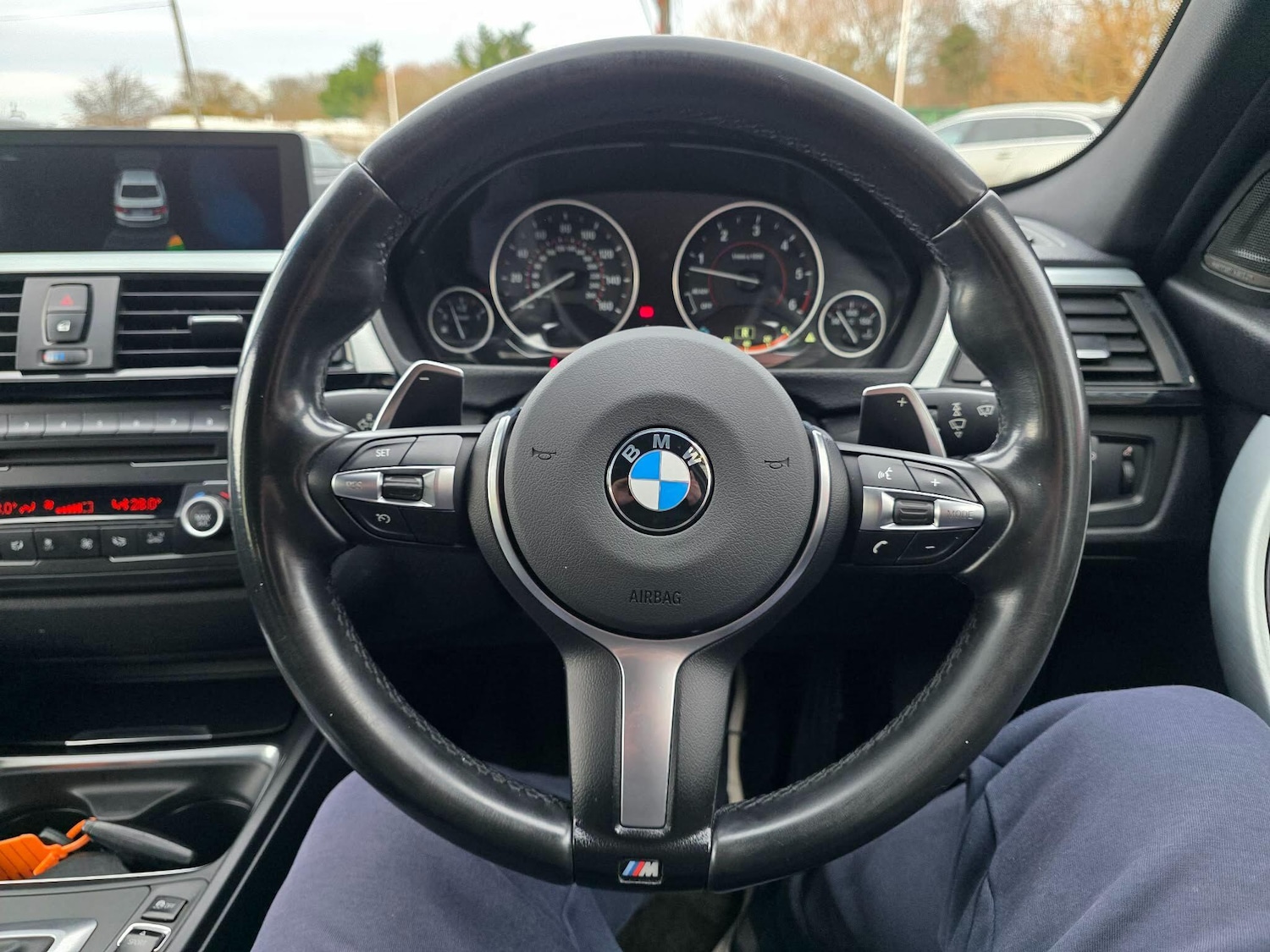 Used BMW 3 Series for sale - 77015951: Photo 36