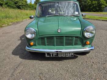 Used Leyland Mini 1976 for sale - 75178427: Photo