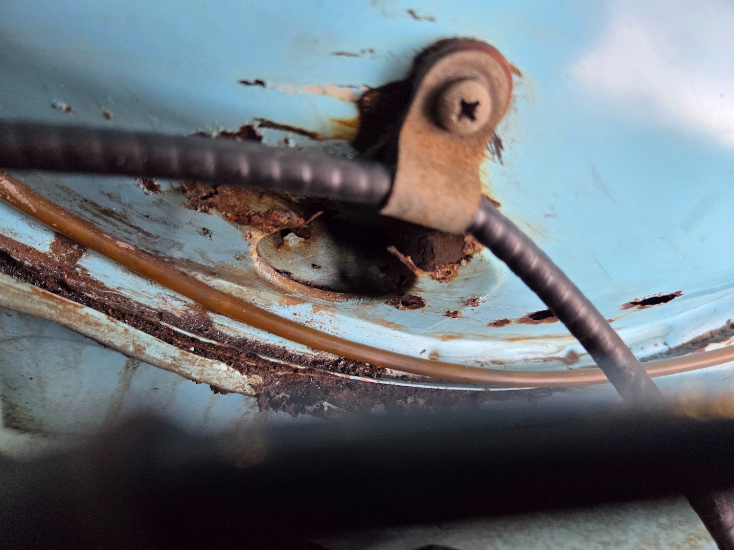 Used Ford Escort 2025 for sale - 76889311: Photo 13