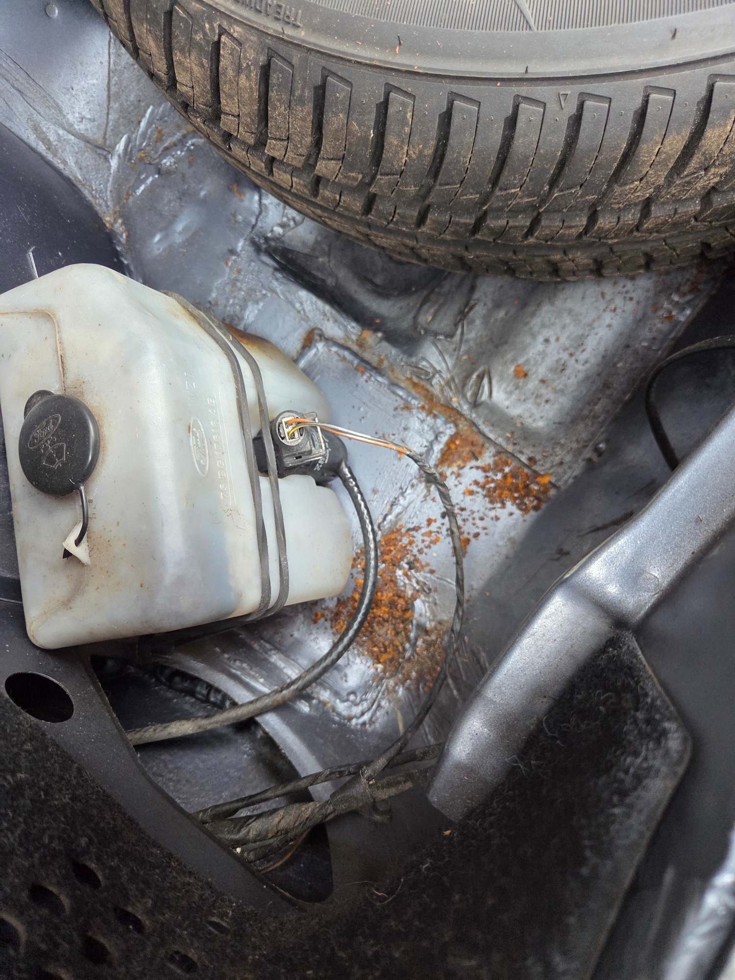 Used Ford Fiesta 1988 for sale - 78053165: Photo 17