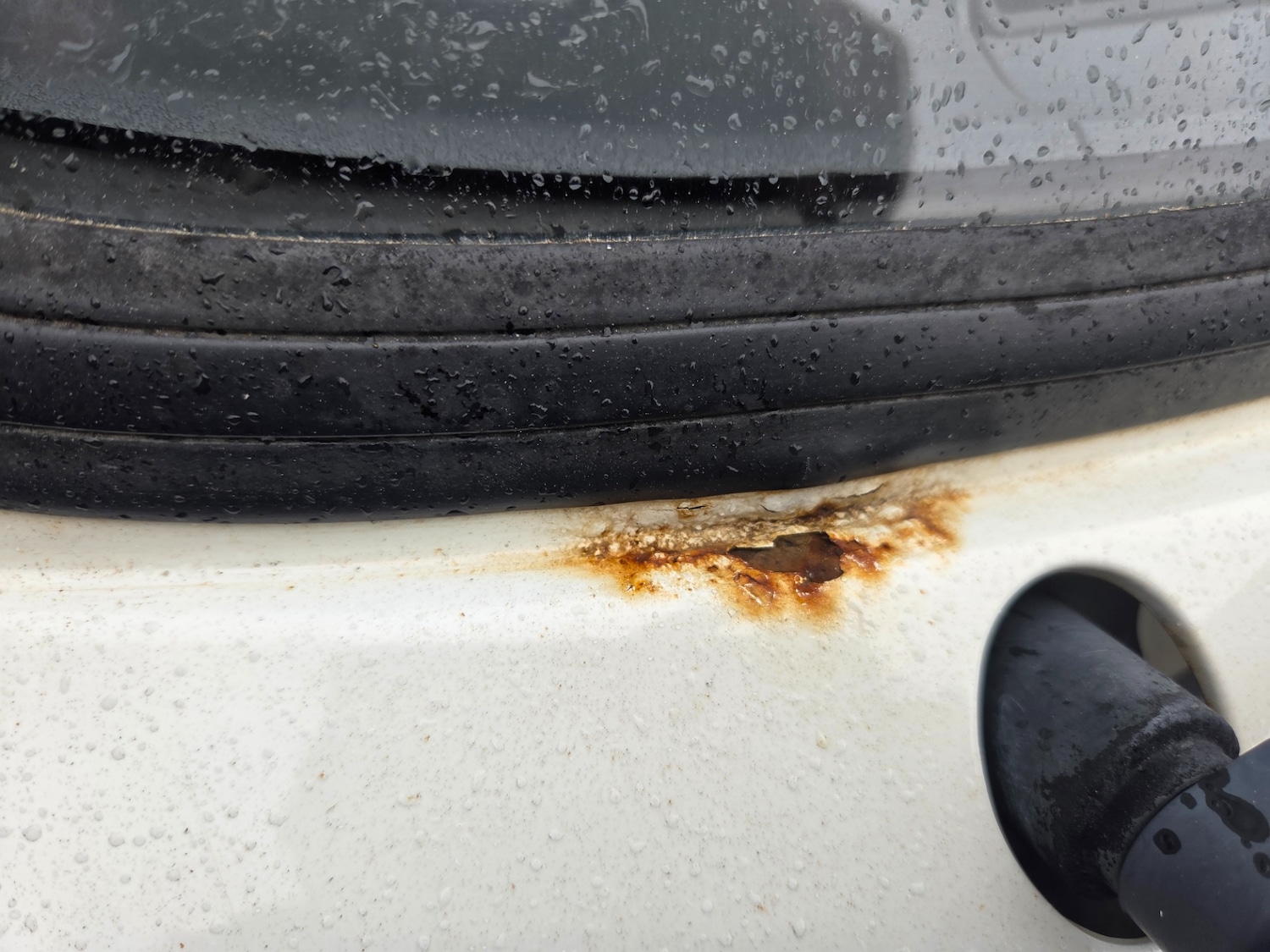 Used Ford Fiesta 1989 for sale - 77662346: Photo 13