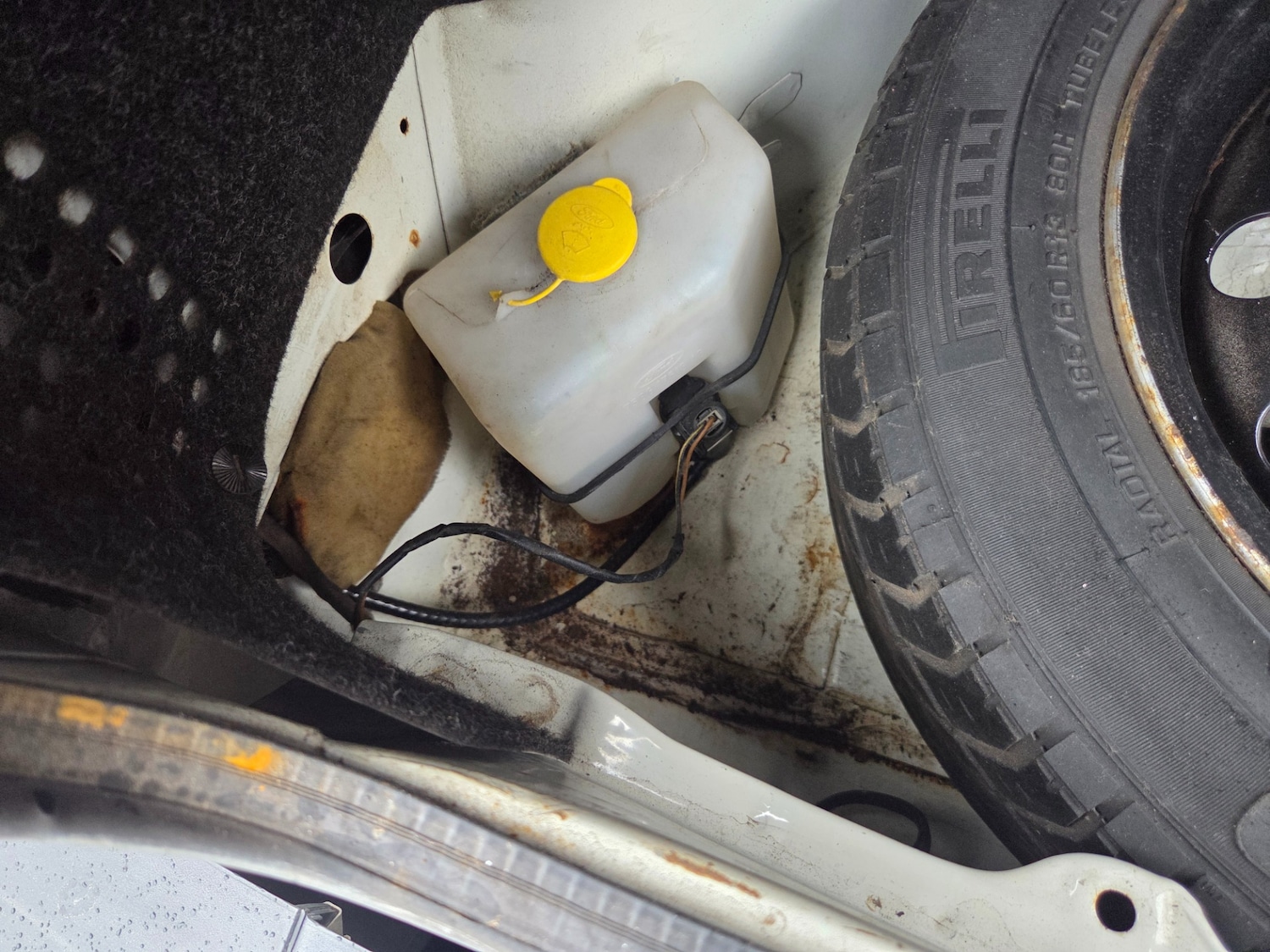 Used Ford Fiesta 1989 for sale - 77662346: Photo 18