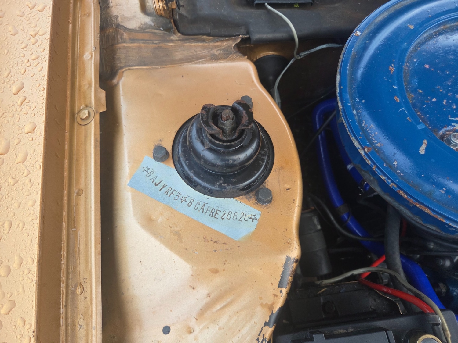 Used Ford Escort 2020 for sale - 77391763: Photo 10