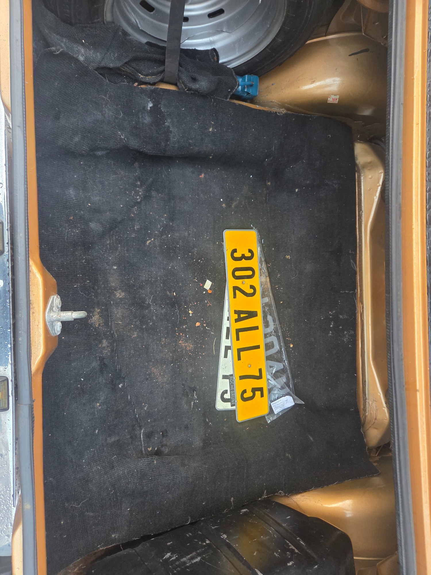 Used Ford Escort 2020 for sale - 77391763: Photo 17