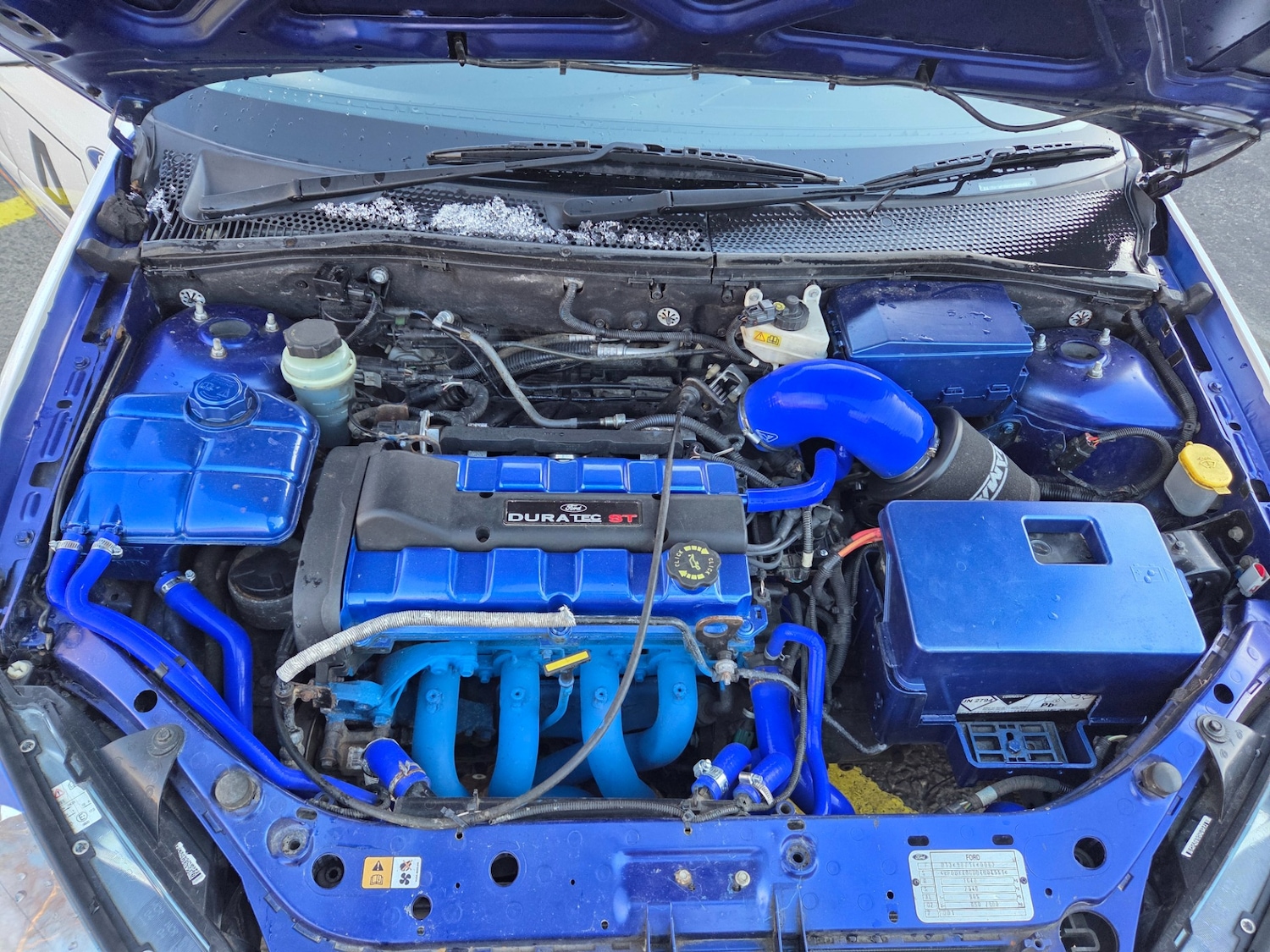 Used Ford Focus 2004 for sale - 77562417: Photo 13