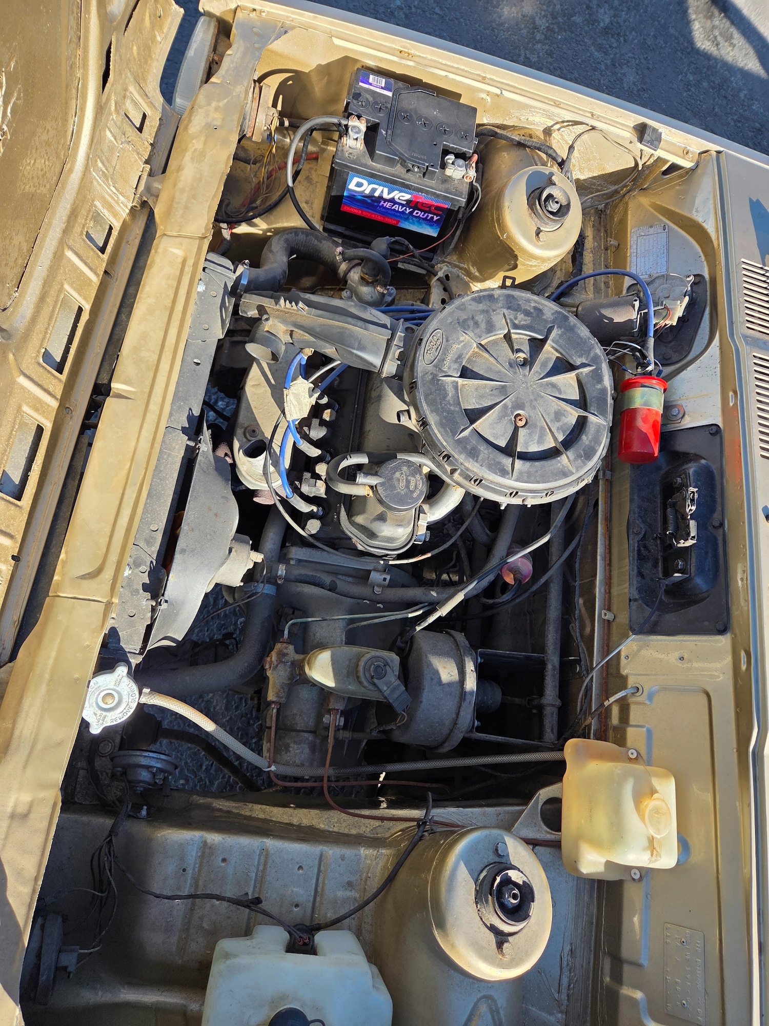 Used Ford Fiesta 1982 for sale - 77789903: Photo 10