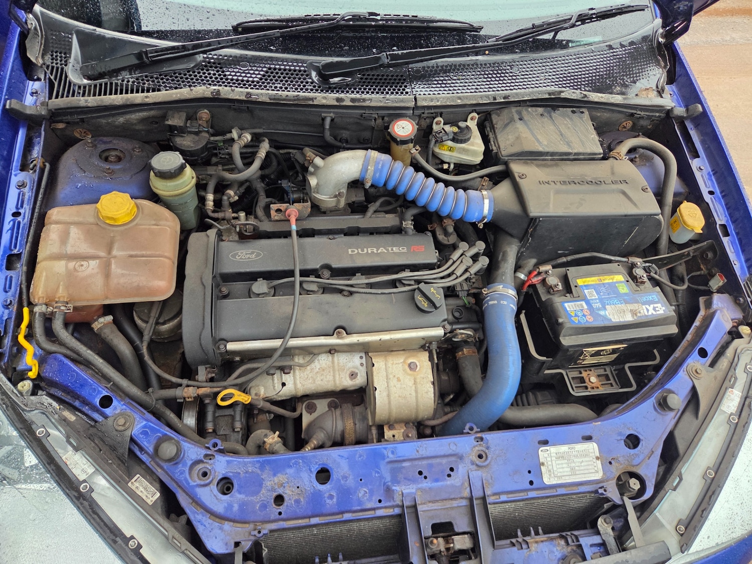 Used Ford Focus 2003 for sale - 77942537: Photo 15