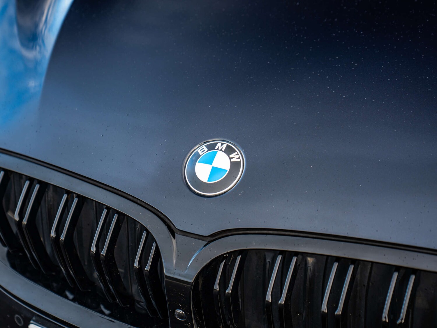 Used BMW 8 Series 2020 for sale - 77378391: Photo 52