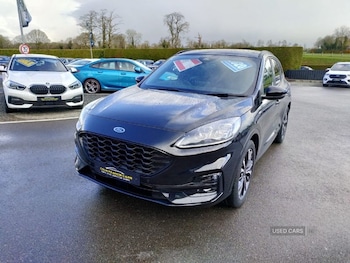 Used Ford Kuga 2020 for sale - 79085564: Photo