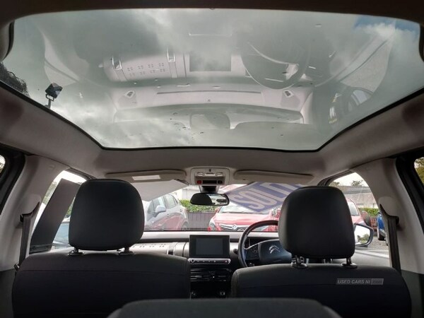 Used Citroen C4 Cactus 2019 for sale - 71251825: Photo 11