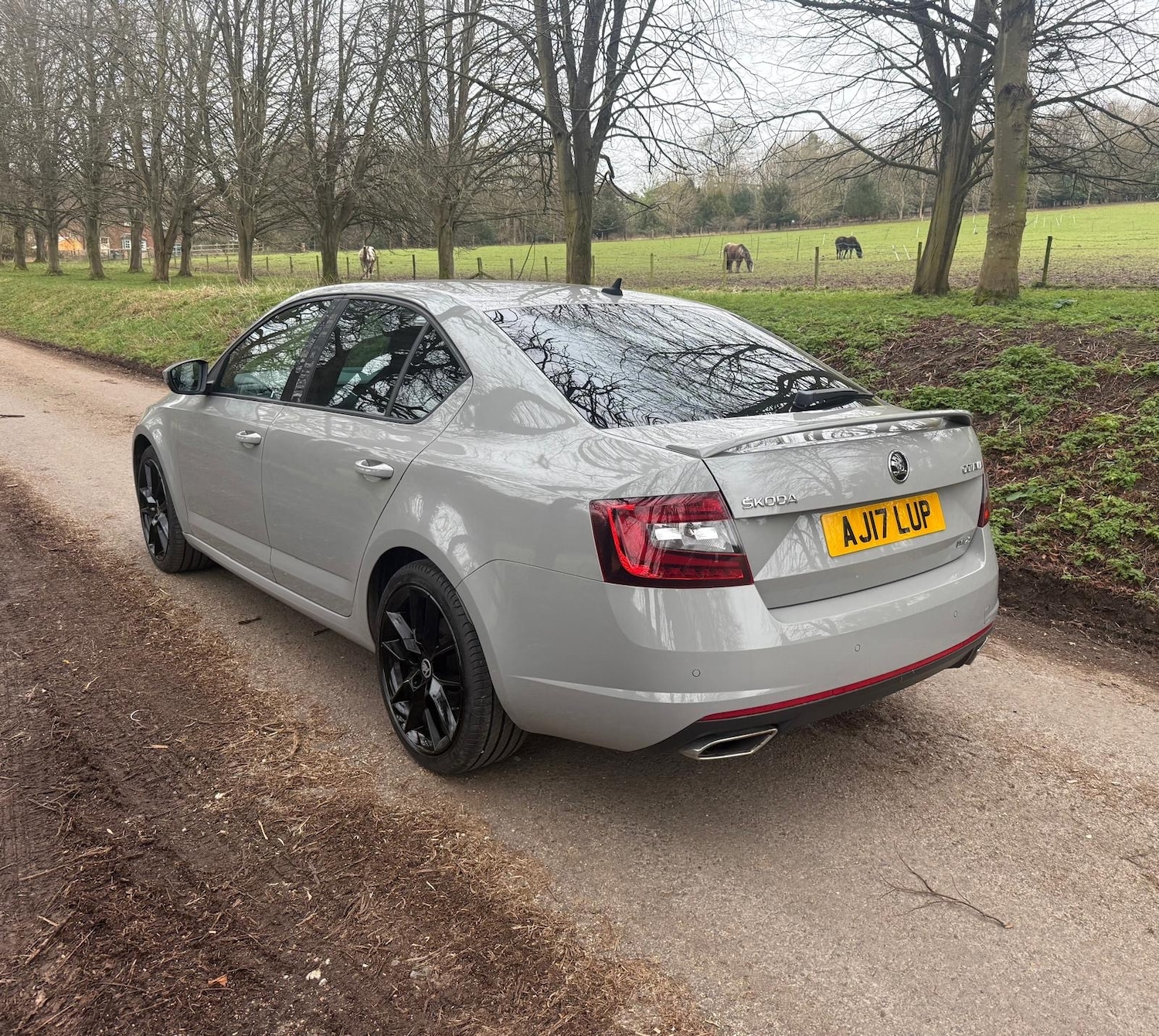 Used Skoda Octavia 2017 for sale - 77603469: Photo 5