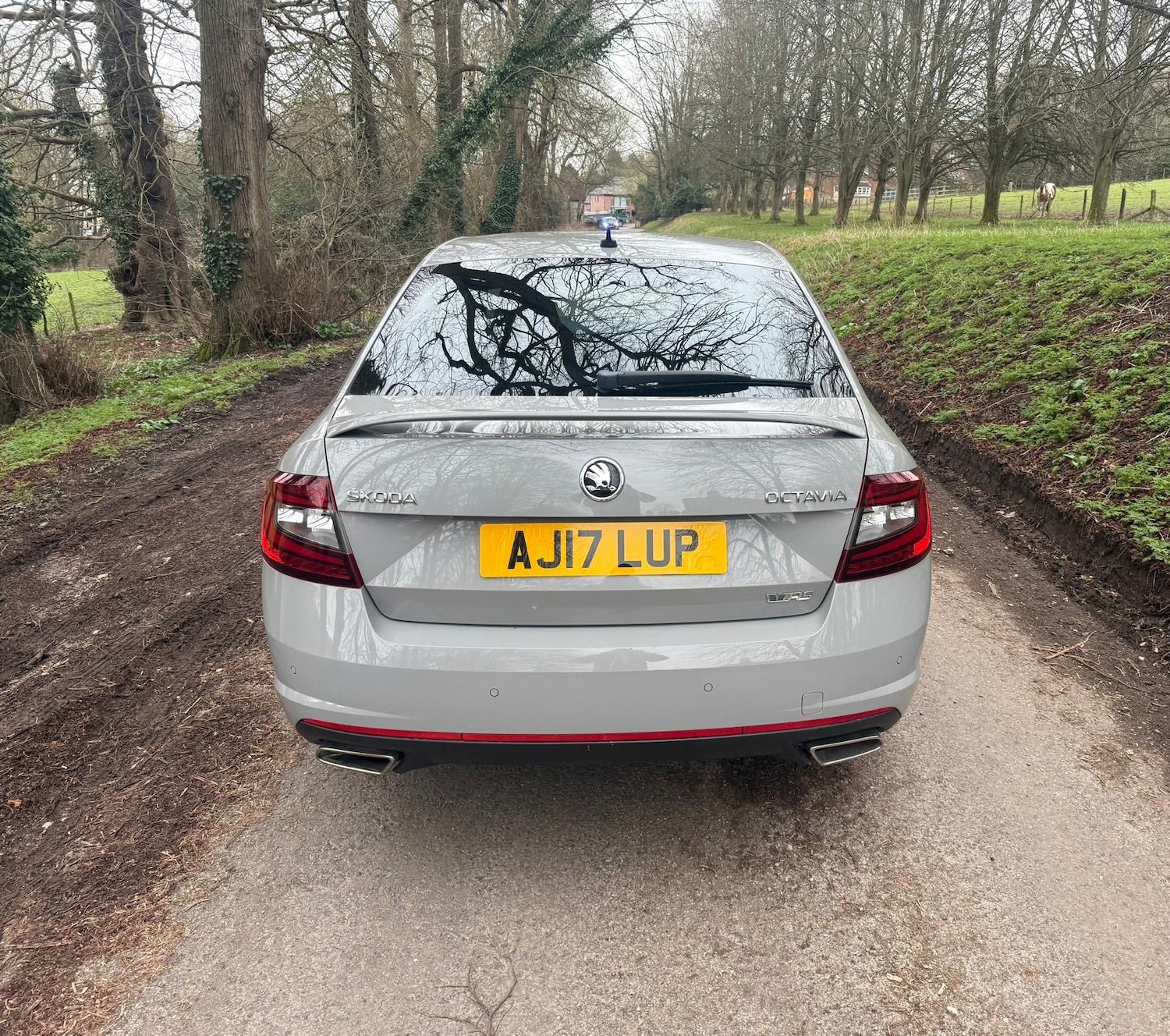 Used Skoda Octavia 2017 for sale - 77603469: Photo 6