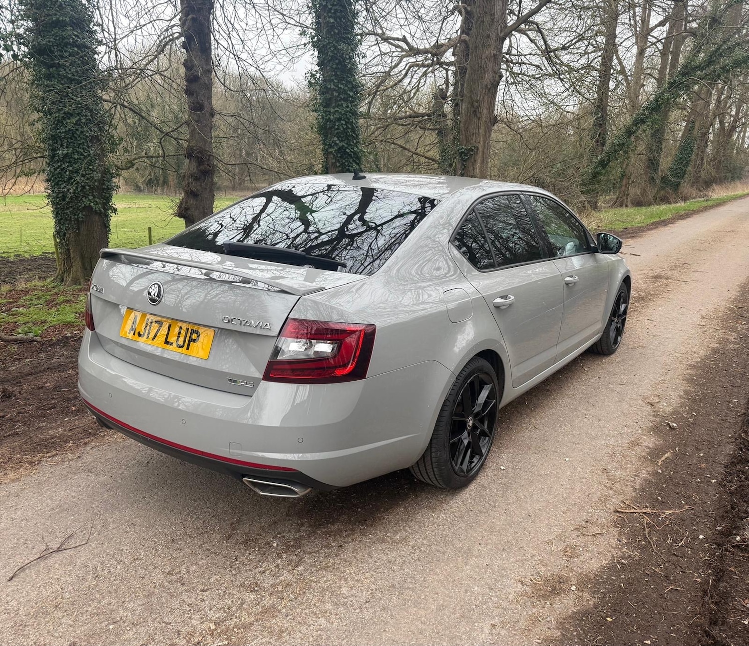 Used Skoda Octavia 2017 for sale - 77603469: Photo 7