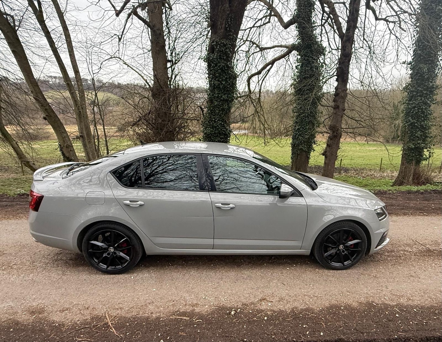Used Skoda Octavia 2017 for sale - 77603469: Photo 8