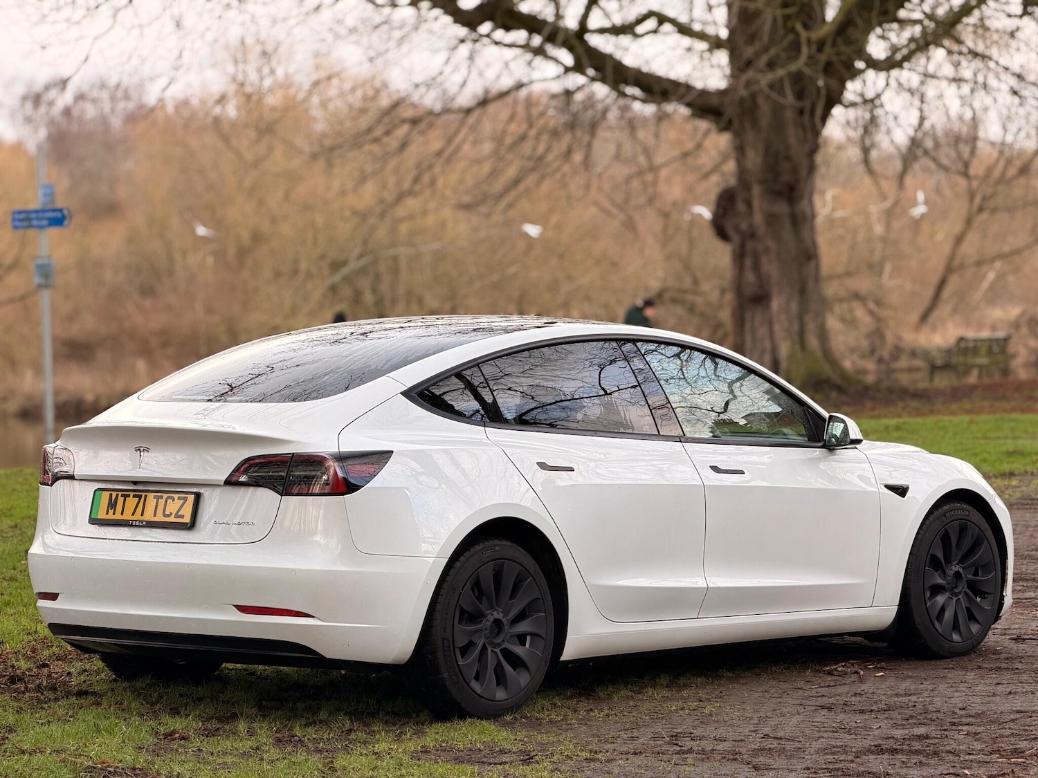 Used Tesla Model 3 2021 for sale - 77440430: Photo 10